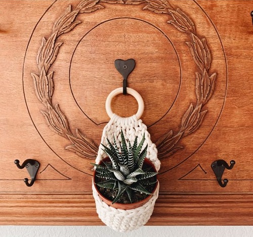 Easy Crochet Succulent Wall Holder