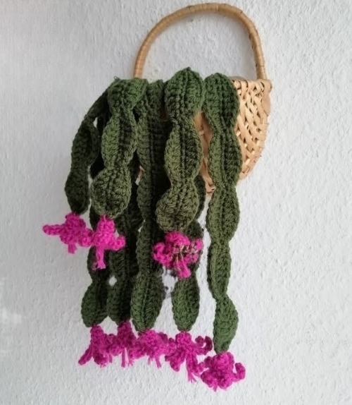 Hanging Crocheted Christmas Cactus Succulent