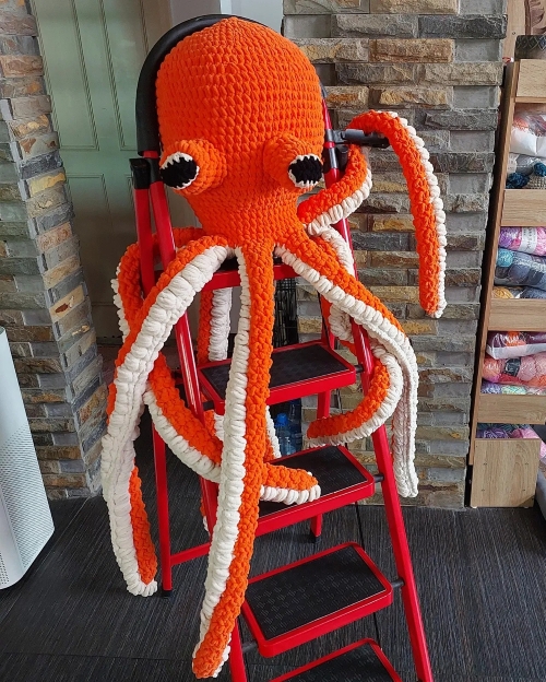 Adorable Giant Octopus