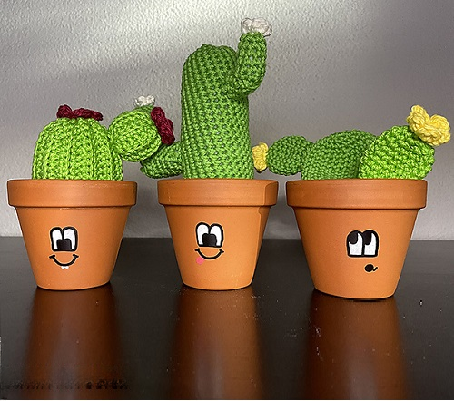 Crochet Cactus with flowers 3