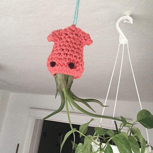 DIY Crochet Animal Plant Holder Ideas