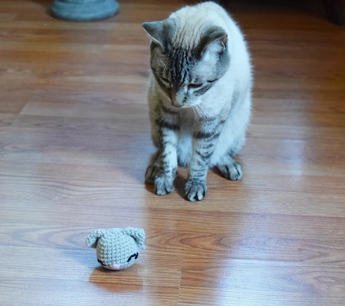 Chito Catnip Cat Toy