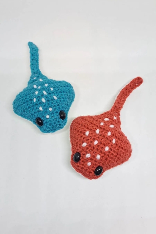 Adorable Little Stingray