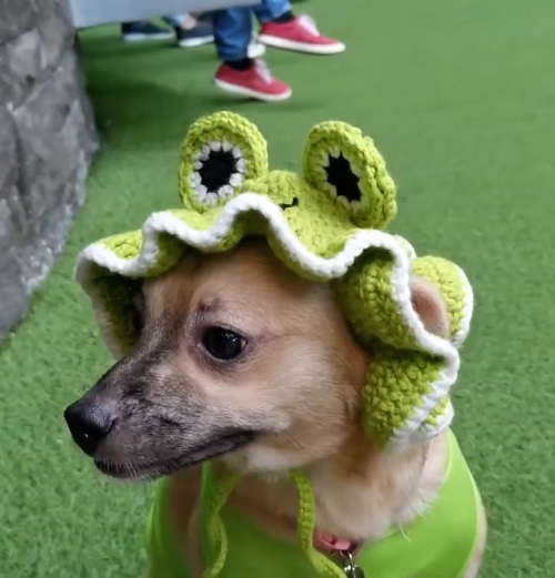 Beautiful Crochet Bucket Hat Idea