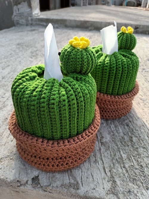 Crochet Simple Cactus Style Tissue Holder