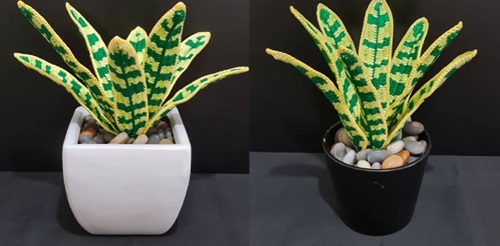 Vibrant Crochet Snake Plant with Dual Toned Leaves