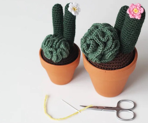 Crochet Flowering Succulents Free Patterns 2