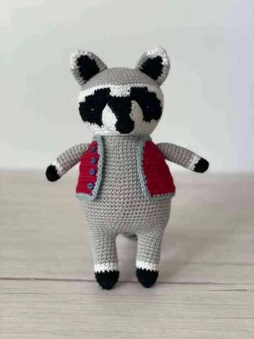 Esteban the Raccoon