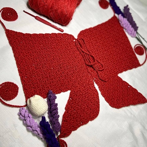 stylish butterfly top