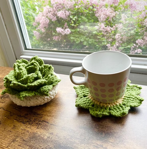 crochet plant coaster