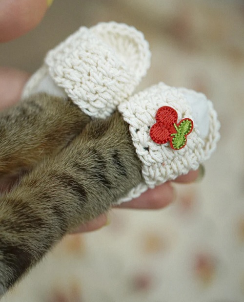 White Magic Flying Slippers