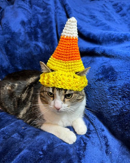 Best Crochet Cat Hat Free Patterns 5