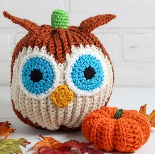 Owl Pumpkin