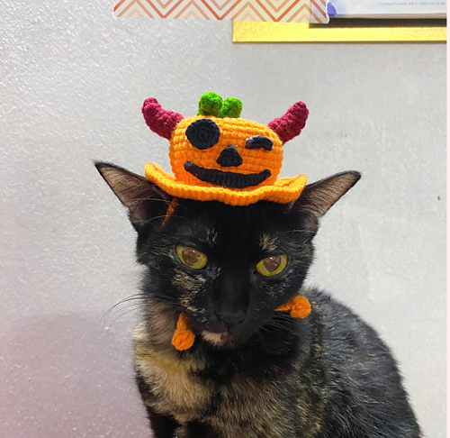 Top Crochet Cat Hat Free Patterns 3