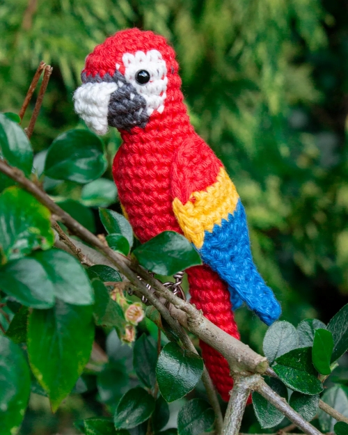 Amigurumi Scarlet Macaw