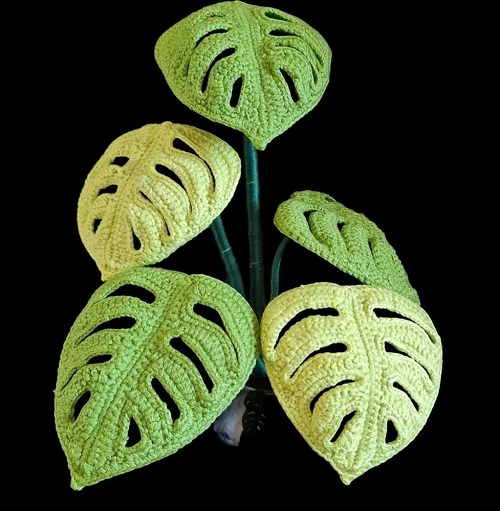 Easy and Cute Monstera Plants Crochet Pattern 2