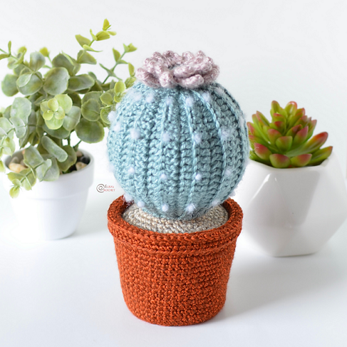 Crochet Flowering Succulent