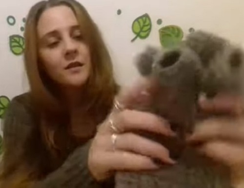 Men's Crochet Fingerless Gloves Pattern 29