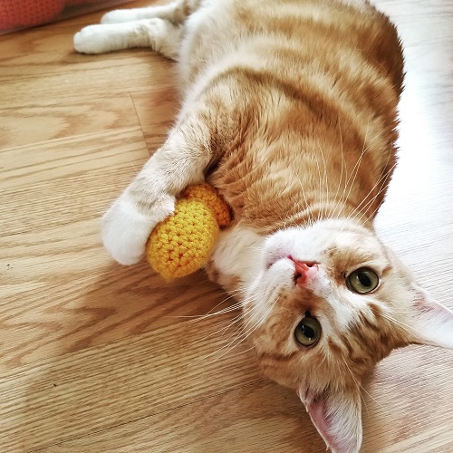 Catnip Toys Free Crochet Patterns