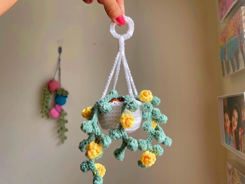 Mini Hanging Plant Crochet Patterns 2