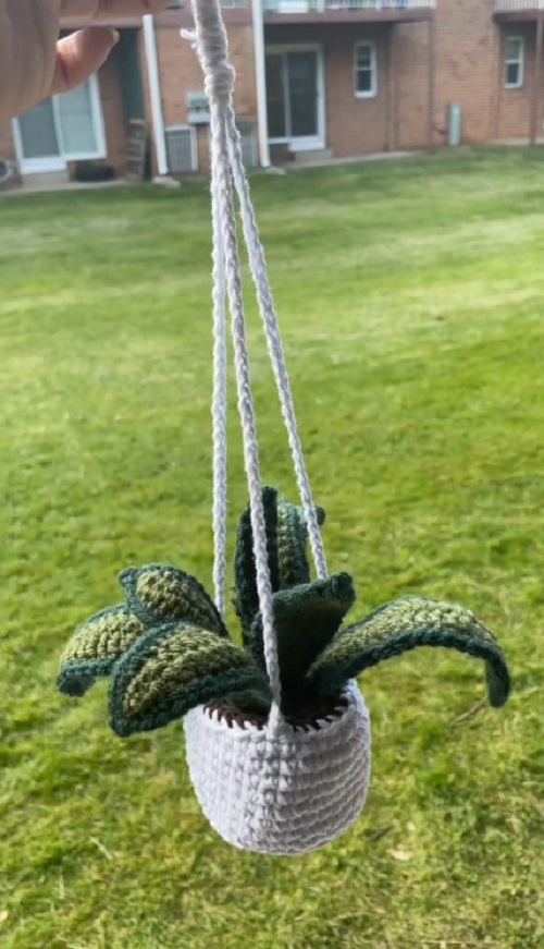 Easy and cute Crochet Snake Plant Pattern 2