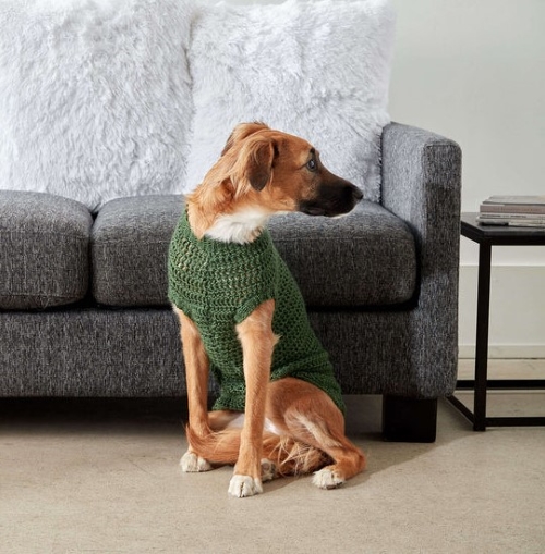 Dapper Pup Sweater Crochet