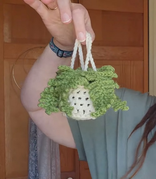 Crochet Mini Hanging Fern Plant