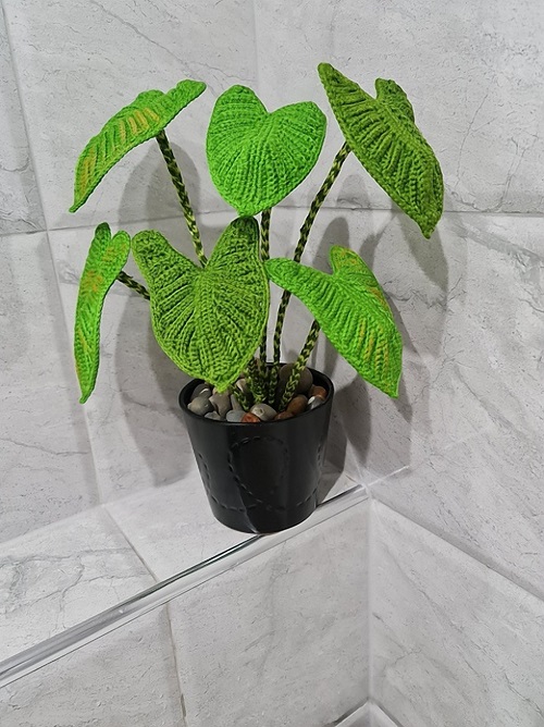 Crochet indoor plants with beautiful foliage 3