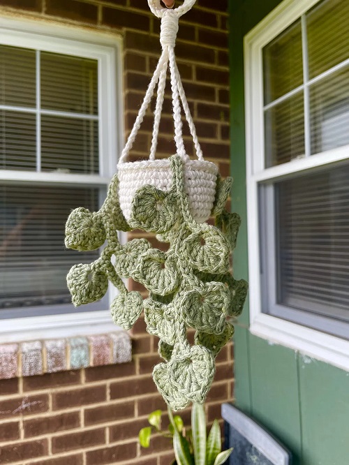 Crochet Money Plant Free Patterns