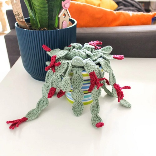Crochet Christmas Cactus