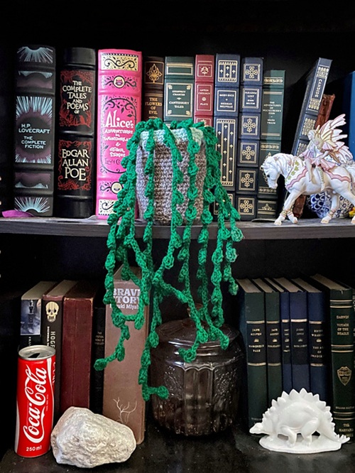 String of Pearls Hanging Succulent