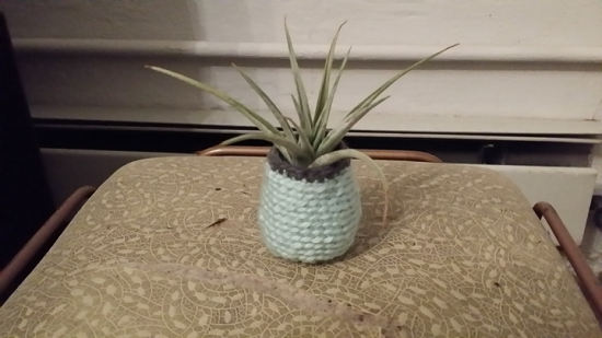 Crochet Air Plant Holder Patterns 4