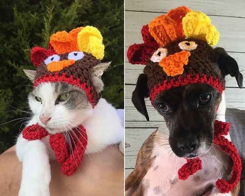 Cat & Dog Turkey Hat