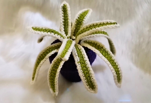 Crocheted Spider Plant and Pot