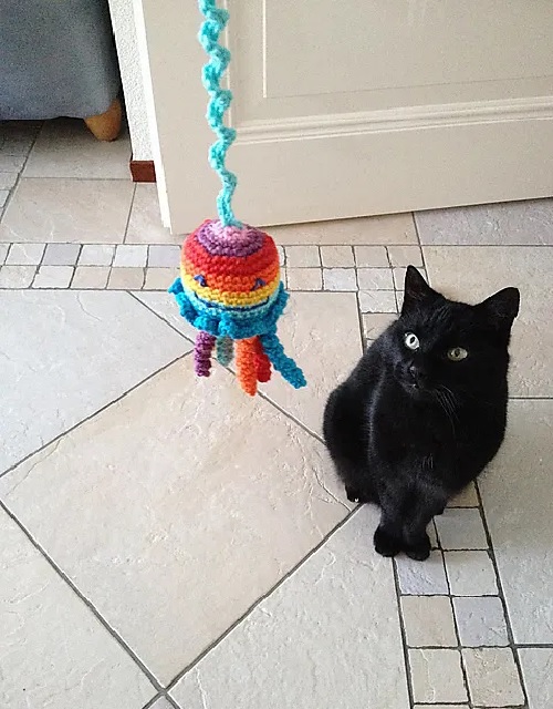 Bouncing Rainbow Jellyfish Cat Toy