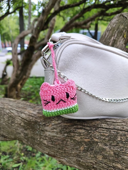 Crochet Watermelon Cat airpod Pouch