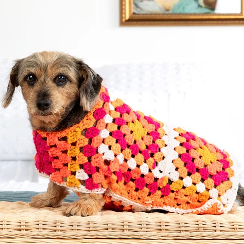 Crochet Granny Square Dog Sweater