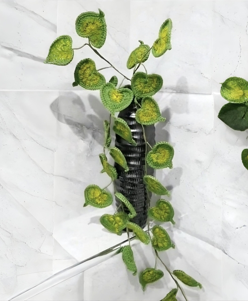 Crochet Indoor Money plant