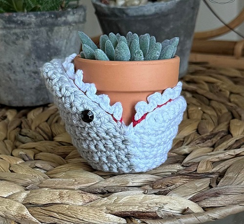 DIY Succulent Holder Crochet Patterns Ideas