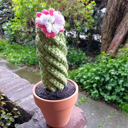 spiral cactus pattern crochetted