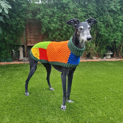 Wally Dog Jumper