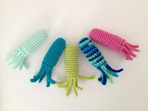 Catnip Squids