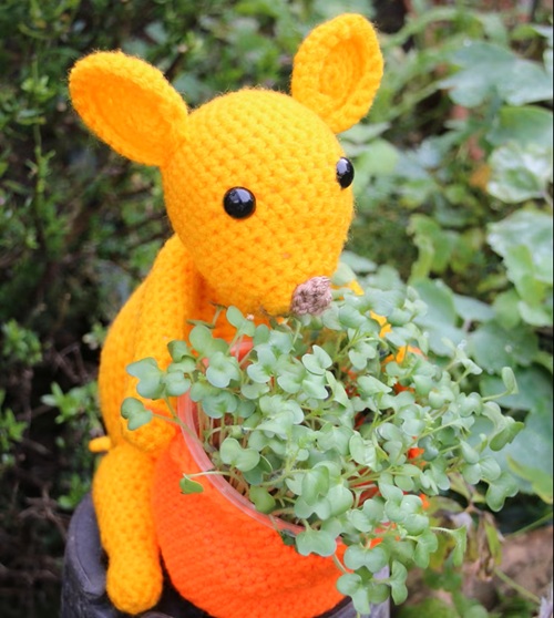 Unique crochet plant holder