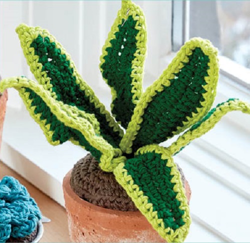 DIY Crochet Snake Plant Ideas 3