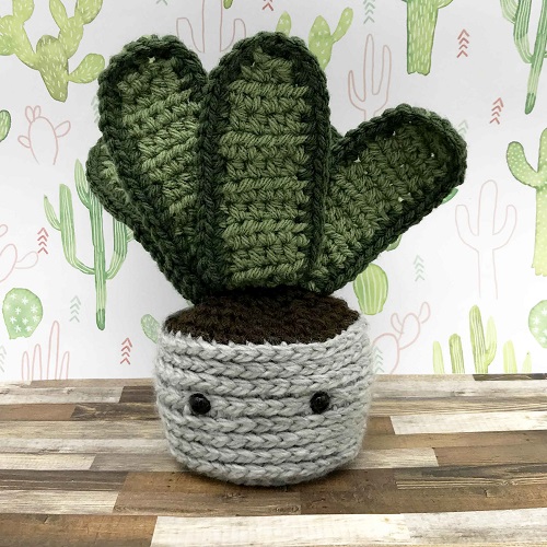 DIY Crochet Snake Plant Ideas