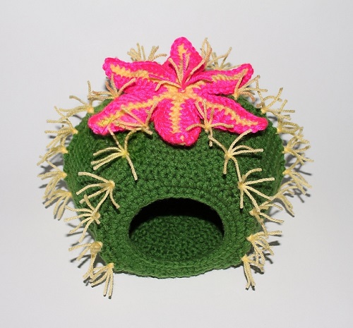 cactus-bed-for-cats-and-small-dogs