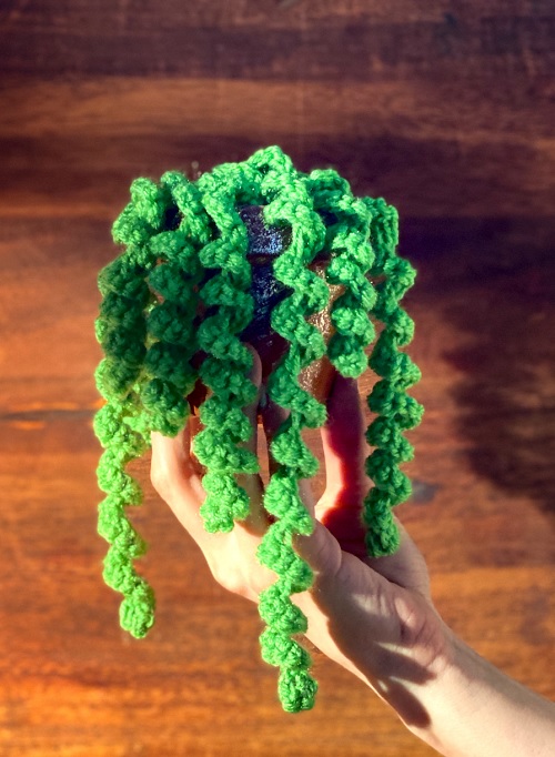 Dangling Curly Plant Crochet