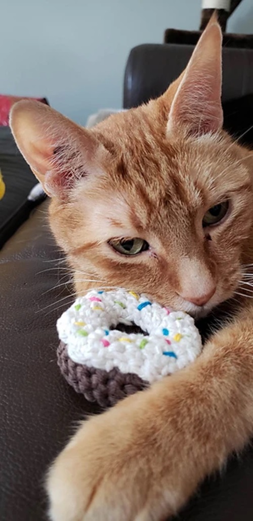 Mini Donuts Cat Toy